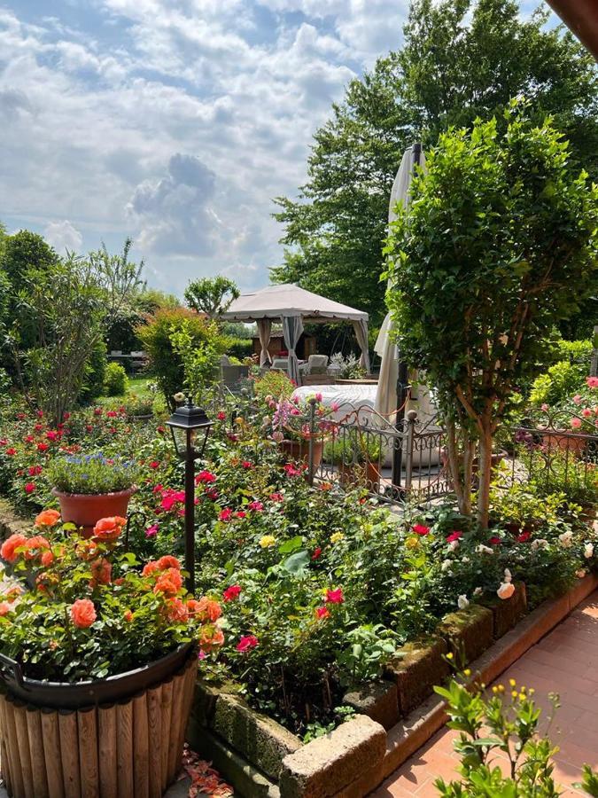 Casa Serenella B&B - Casa Vacanze Piazzola sul Brenta Exterior photo
